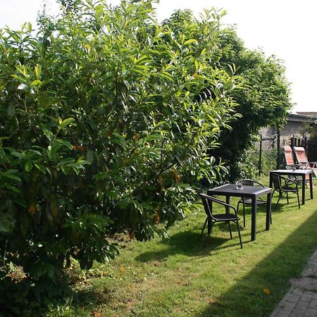 Ferienwohnungen Haus Mecklenburg Elmenhorst/Lichtenhagen Ngoại thất bức ảnh