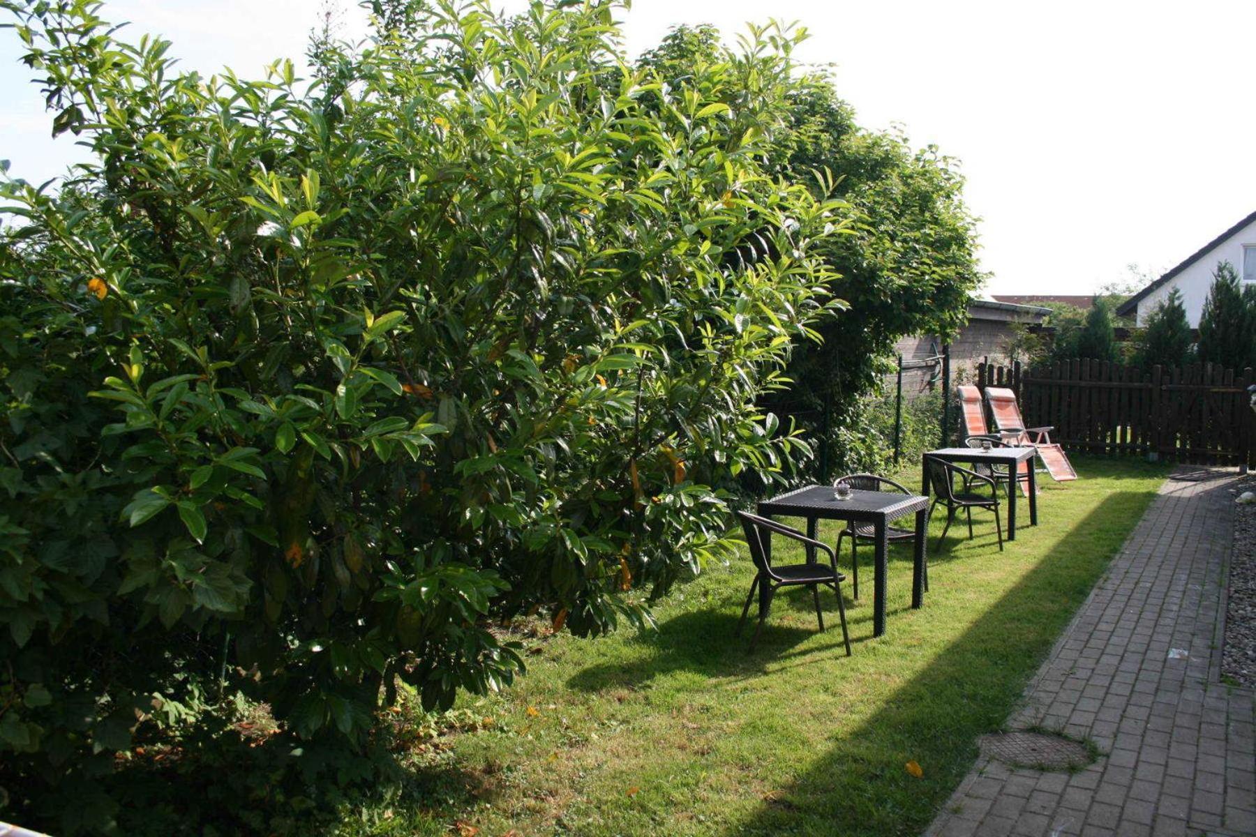 Ferienwohnungen Haus Mecklenburg Elmenhorst/Lichtenhagen Ngoại thất bức ảnh
